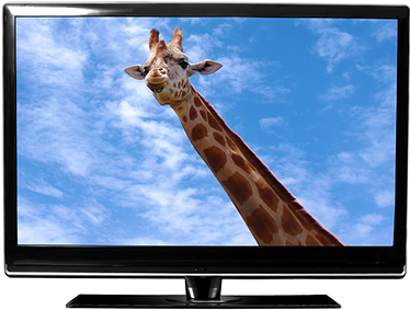 What is the difference between LED TV and LCD TV